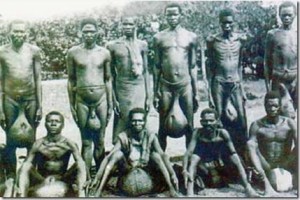 bolacas12