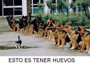 con_dos_cojones