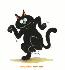 gato