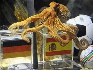 pulpo20paul