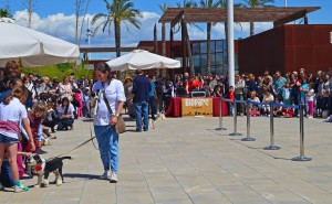 Bioparc_Valencia_-_2_desfile_solidario_de_perros_abandonados