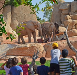 BIOPARC V..
