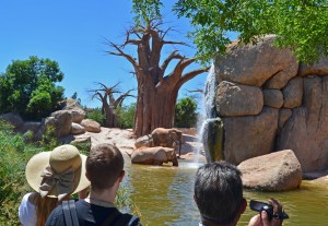 Bioparc Valencia - Visitantes disfrutando del baño de los elefantes - verano 2013