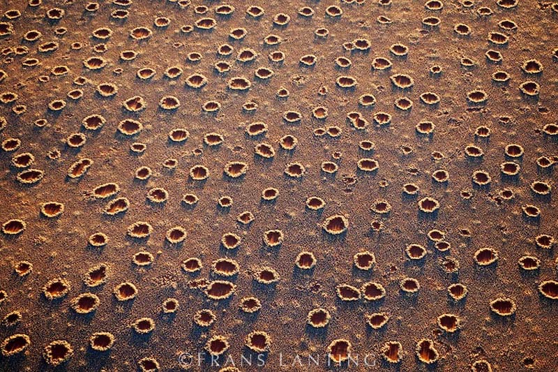 misteriosos-circulos-namibia-2