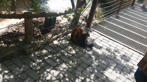20150419_133144