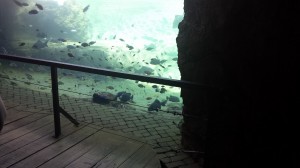 20150419_140252