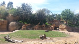 20150419_141753