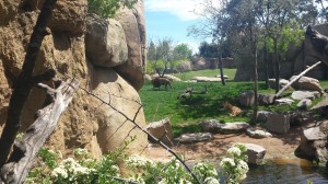 20150419_142639