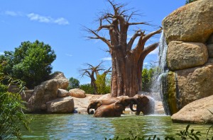 BIOPARC Valencia - lago de los elefantes 2015