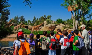 Grupo escolar en la sabana africana - Bioparc Valencia