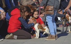 7º desfile AUPA - BIOPARC para fomentar la adopción - familia junto ELISA (1)