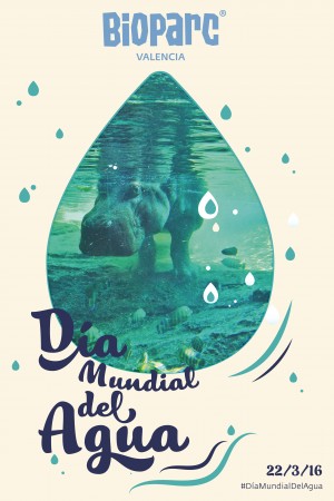 cartel agua_alta